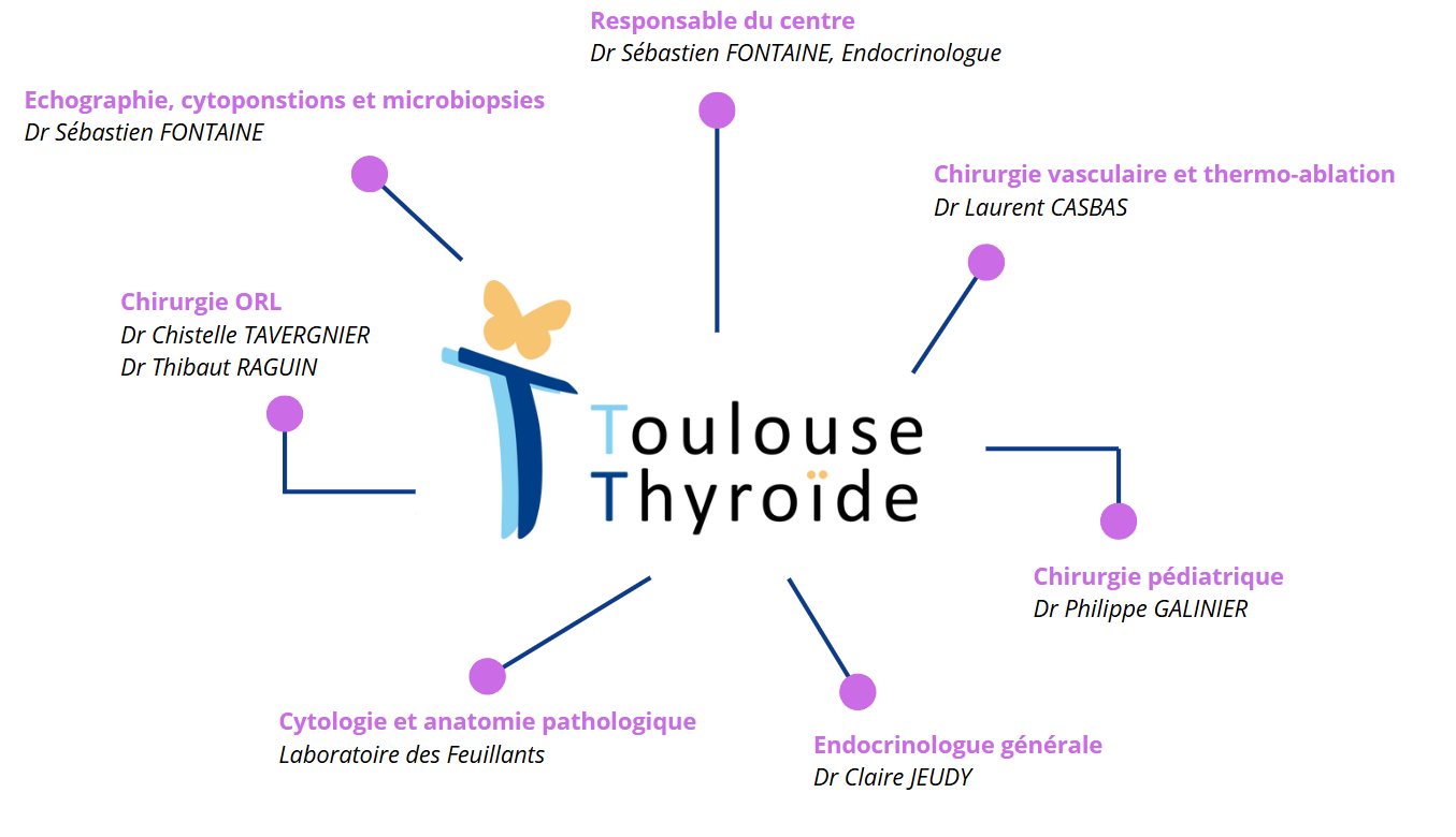 Organigramme de Toulouse Thyroïde